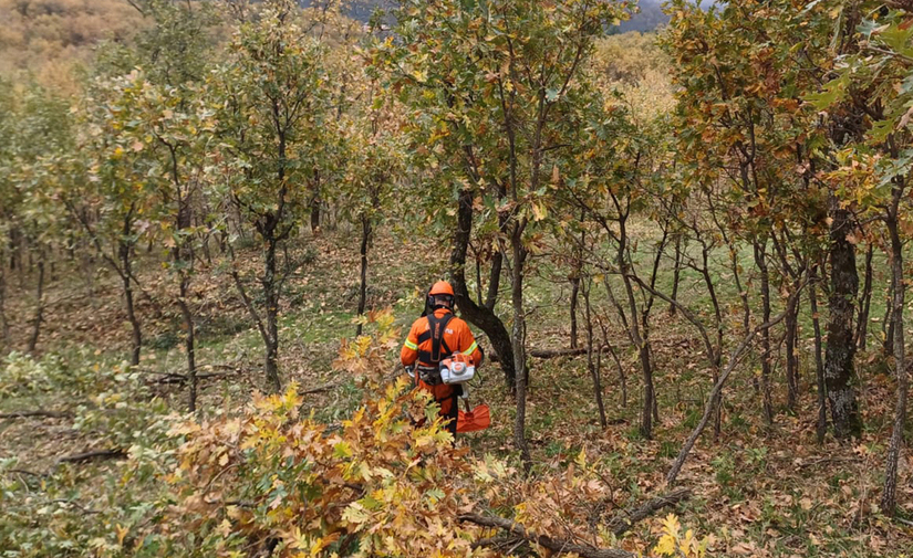 ACCIONA pone en marcha la restauración forestal de los montes de Piedralaves en Álava