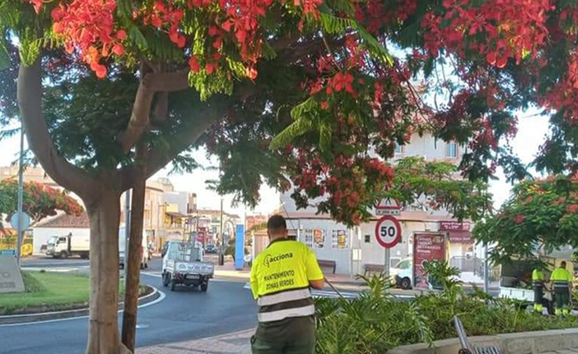 ACCIONA renueva por tres años el mantenimiento de zonas verdes en Granadilla de Abona, Tenerife