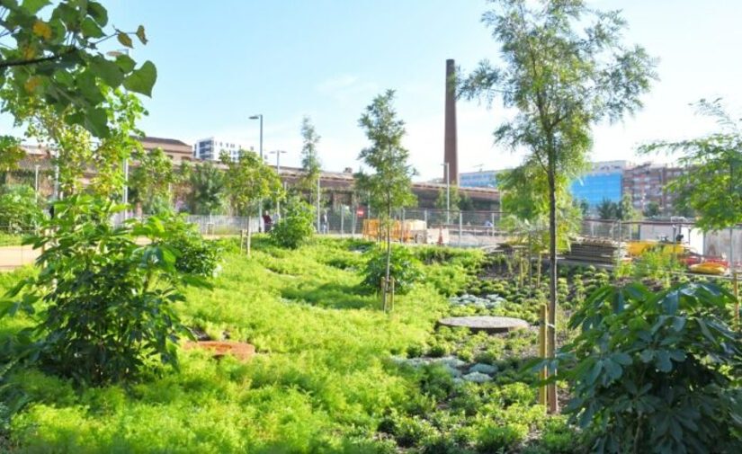 Barcelona inaugura el nuevo parque de Can Batlló, el pulmón verde de Sants-Montjuïc