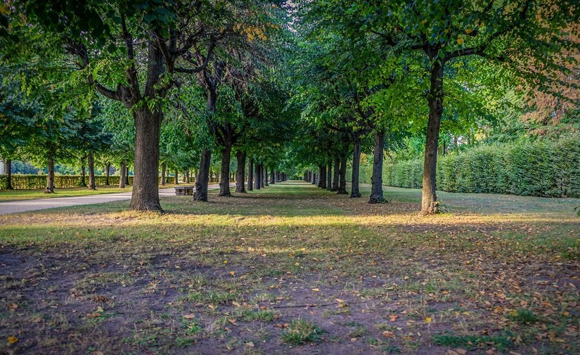 Distribución estratégica de parques y jardines, clave para combatir las islas de calor