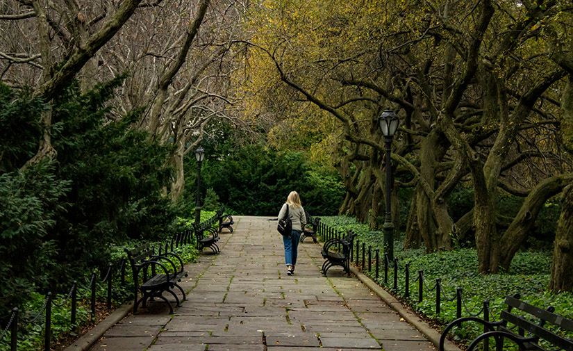 La vegetación urbana reduce la obesidad