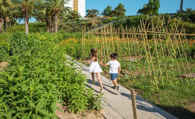 Los talleres “Diálogos Miradas de Ciudad” diseñan la Valencia del futuro