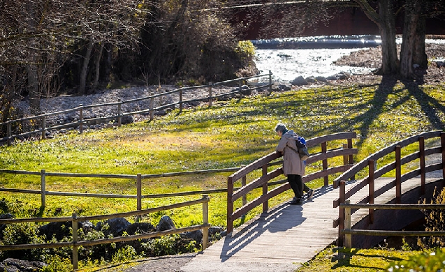 Adjudicado el nuevo contrato de conservación y mantenimiento de zonas verdes de Logroño