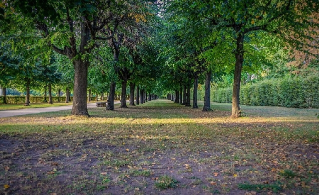 Distribución estratégica de parques y jardines, clave para combatir las islas de calor