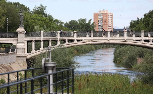 El proyecto de renaturalización del Manzanares, reconocido por su papel en la mejora de la biodiversidad urbana