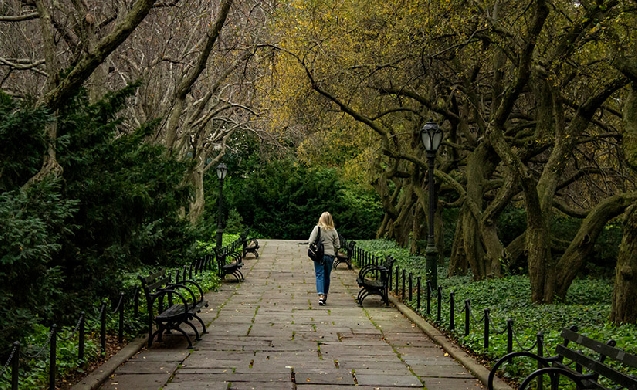 La vegetación urbana reduce la obesidad