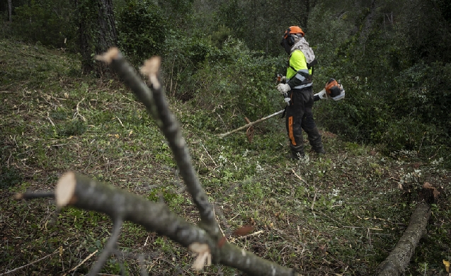 Los bosques metropolitanos de Barcelona refuerzan su resiliencia frente a incendios y fenómenos meteorológicos extremos