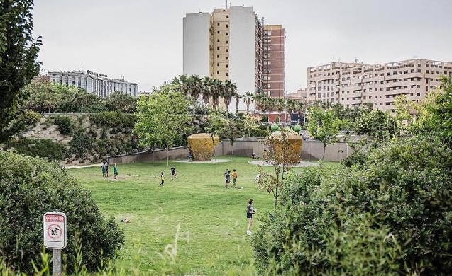 Valencia impulsa la renaturalización urbana con la plantación de 2.000 árboles